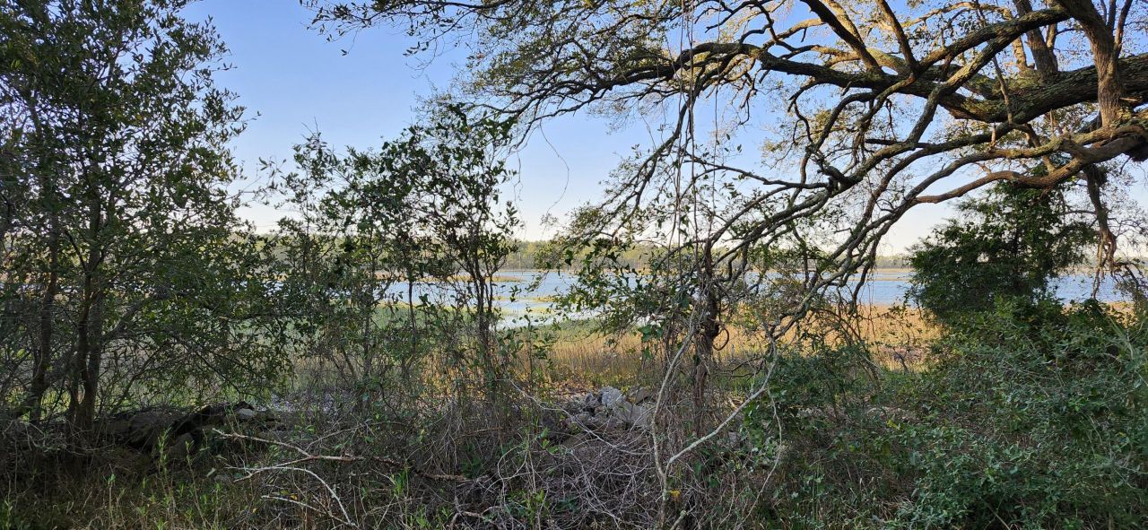 2107 Sol Legare Road Photo 10