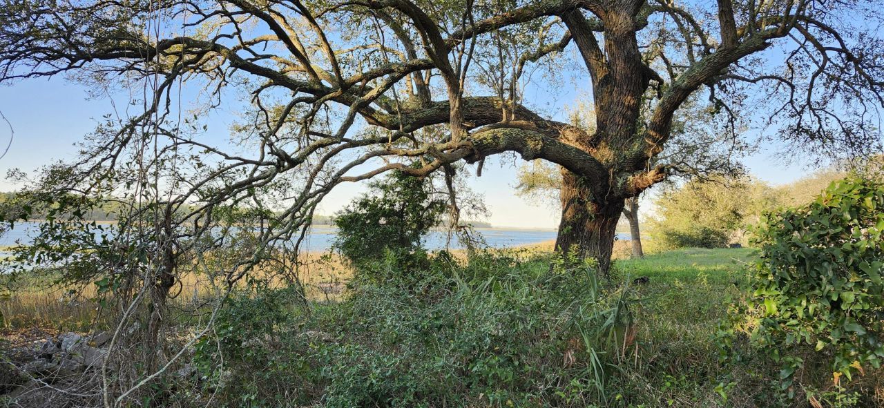 2107 Sol Legare Road Photo 9