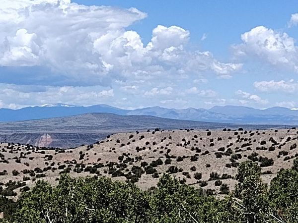 50 Cienega Canyon Road, Placitas, NM 87043