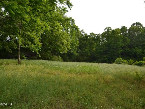 443 Highway 305 N, Olive Branch, MS 38654