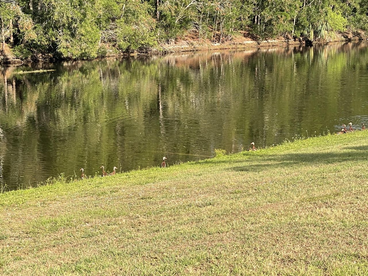 145 SW Hawthorne Circle, Port Saint Lucie, FL 34953 Photo