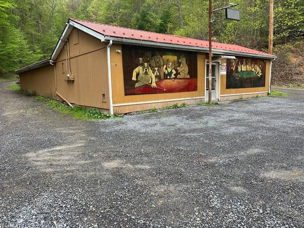 3677 MIDLAND TRAIL, CHARMCO, WV 25958