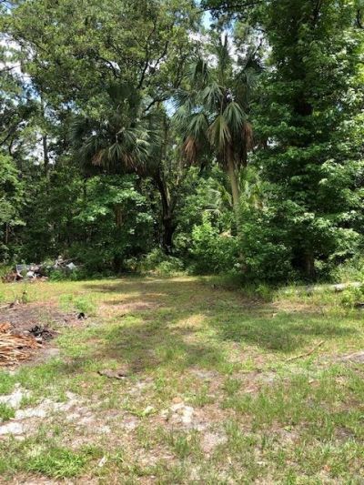 73 Hope Lane, Lot #-, Saint Marks, FL 32355 Photo