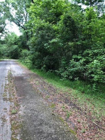 73 Hope Lane, Lot #-, Saint Marks, FL 32355 Photo