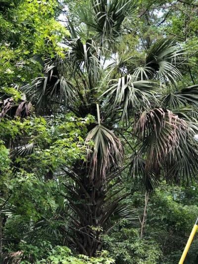 73 Hope Lane, Lot #-, Saint Marks, FL 32355 Photo