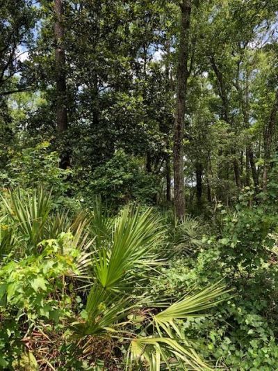73 Hope Lane, Lot #-, Saint Marks, FL 32355 Photo