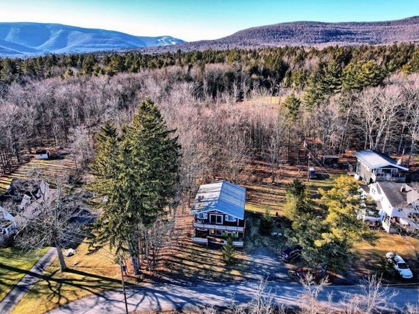 31 Showers Road, Hunter, NY 12485