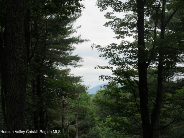 0 Route 23c Lot#1, Lexington, NY 12452