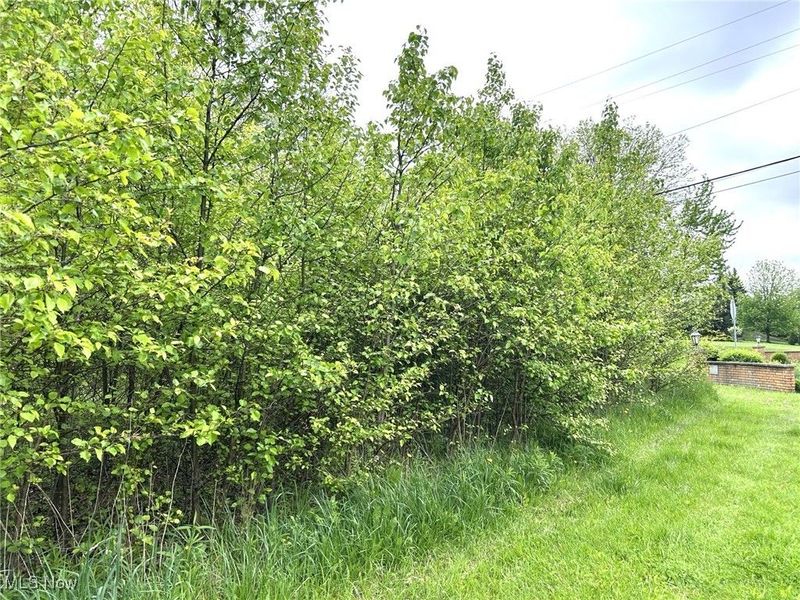 Winding Way, Brecksville, OH 44141 Photo 3