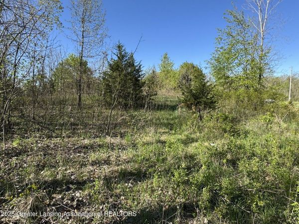 Lot C Stoney Lane, Eaton Rapids, MI 48827