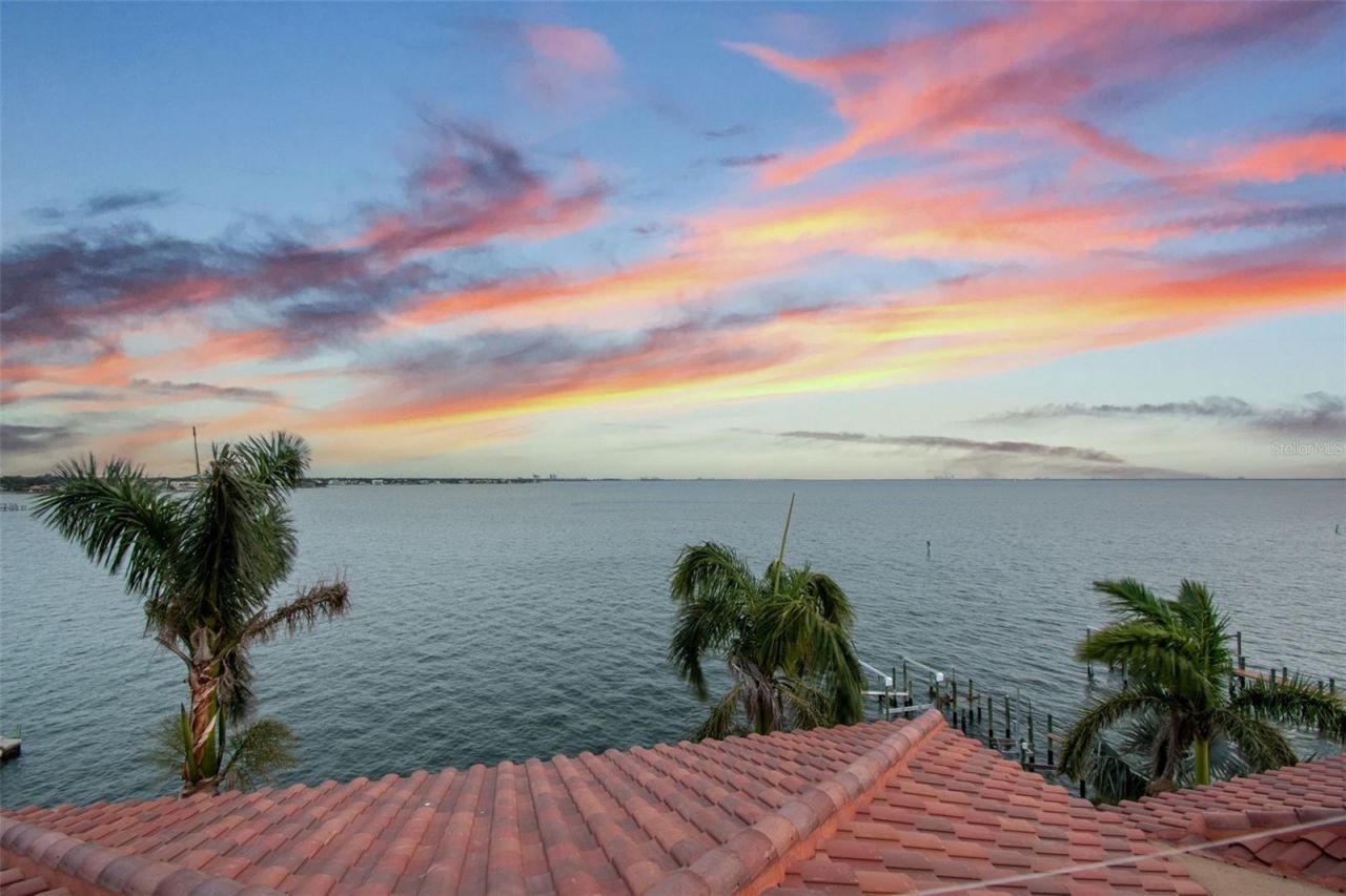 5810 Mariner Street, Tampa, FL 33609 Photo