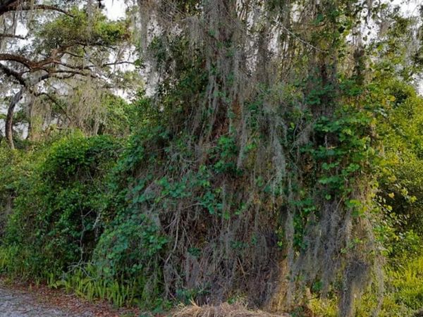 63 N SHELTERING OAKS DRIVE, INVERNESS, FL 34453