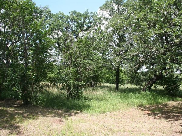 215 Buzbee Road, Palo Pinto, TX 76484