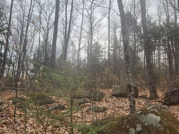 0 Attleboro Mountain Road, Richmond, NH 03470