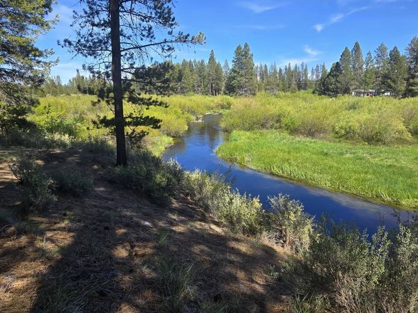 Kokanee, Gilchrist, OR 97737