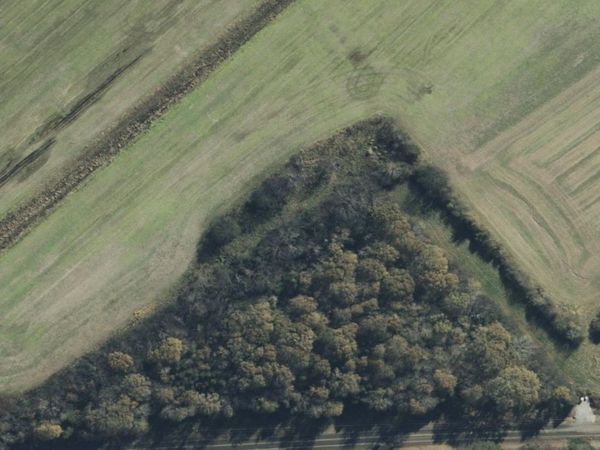 1 Highway 65, Paint Rock, AL 35764