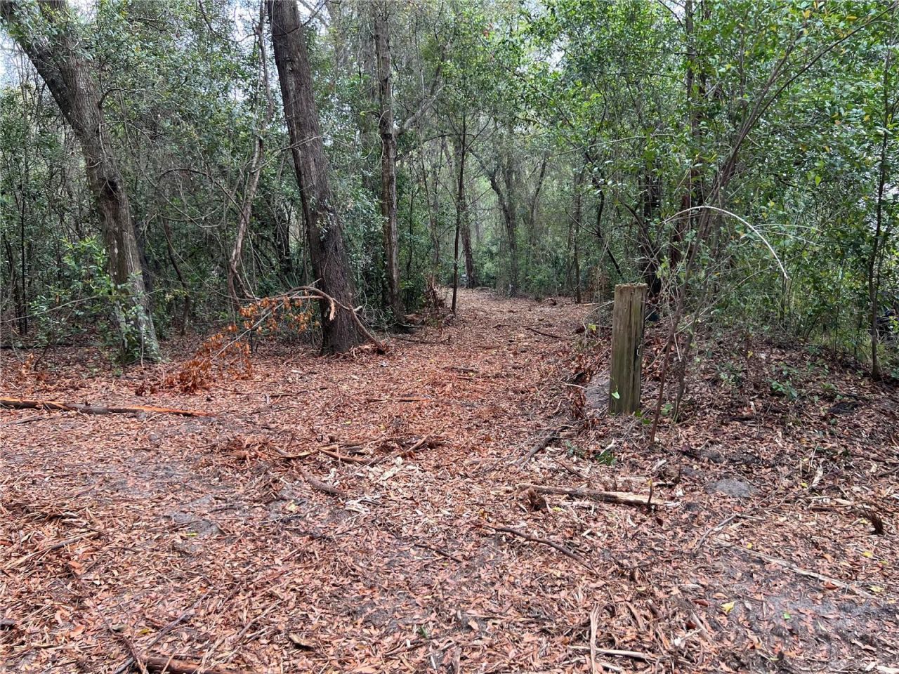 4625-4651 W Kelly Park Road, Apopka, FL 32712 Photo