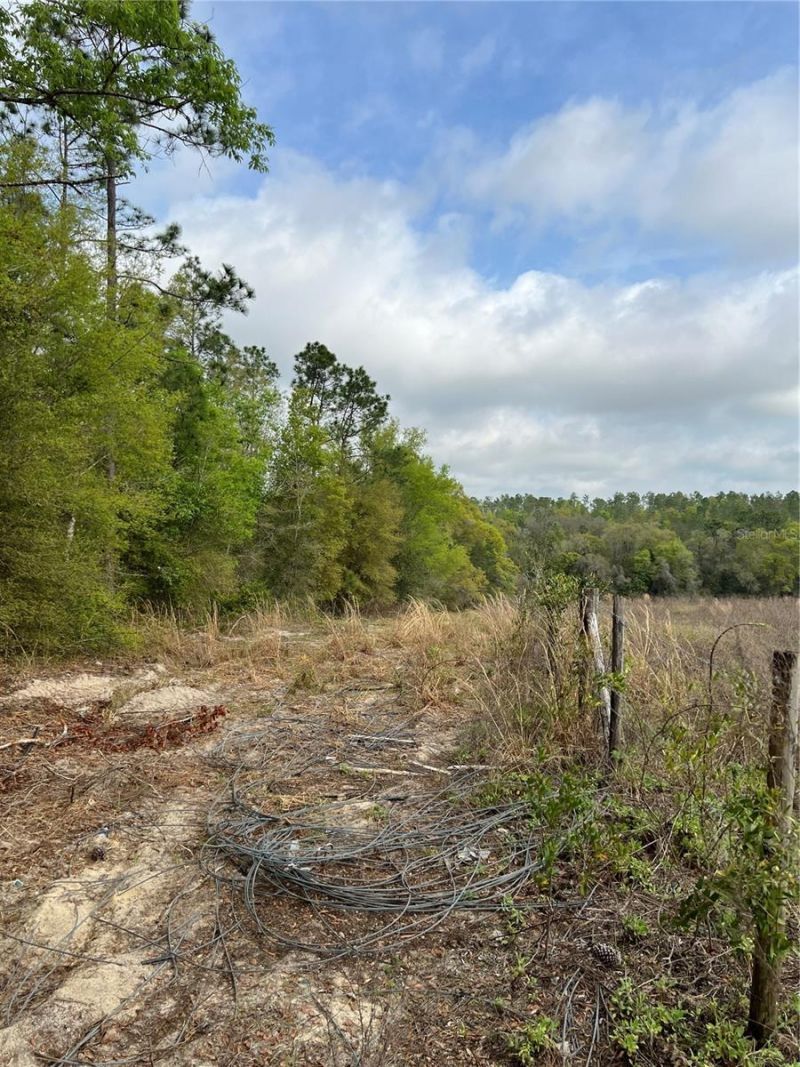 4625-4651 W Kelly Park Road, Apopka, FL 32712 Photo