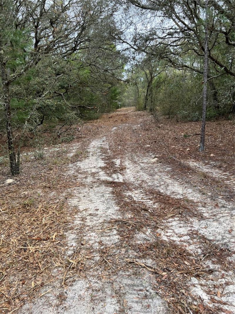 4625-4651 W Kelly Park Road, Apopka, FL 32712 Photo