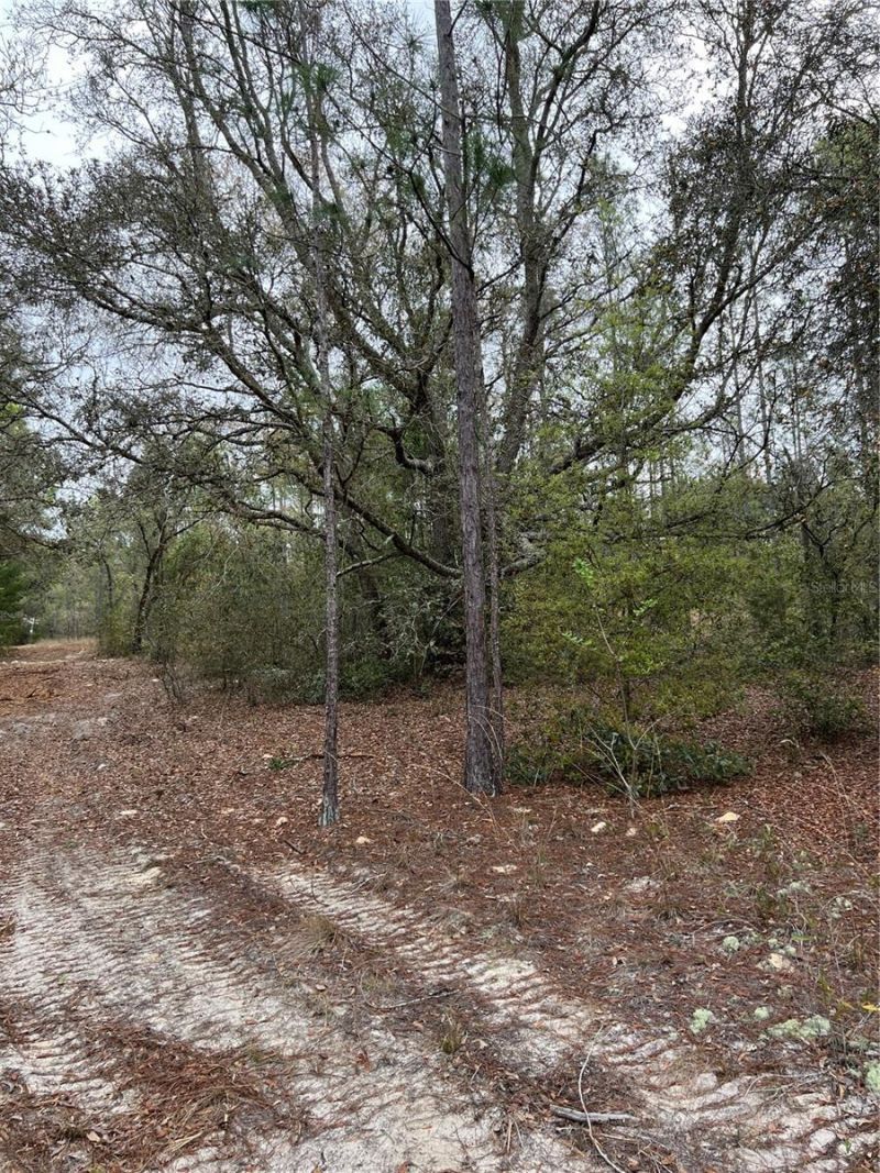 4625-4651 W Kelly Park Road, Apopka, FL 32712 Photo