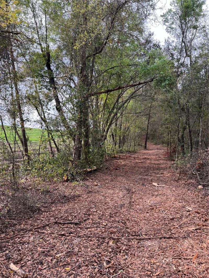 4625-4651 W Kelly Park Road, Apopka, FL 32712 Photo