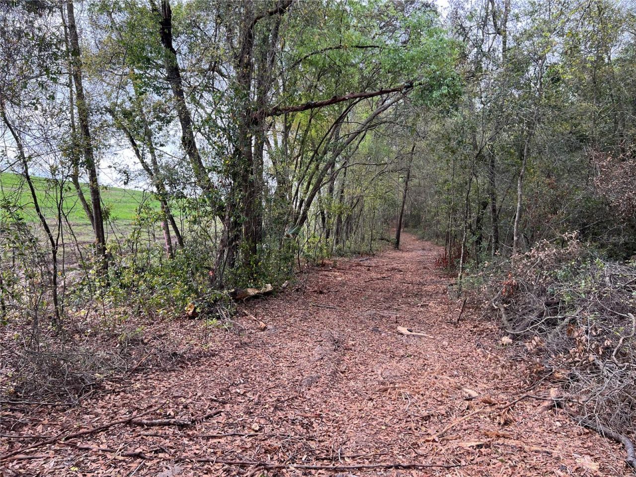 4625-4651 W Kelly Park Road, Apopka, FL 32712 Photo