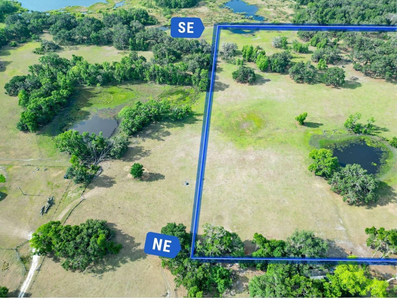 Tbd Cr 772b, Webster, FL 33597 Photo