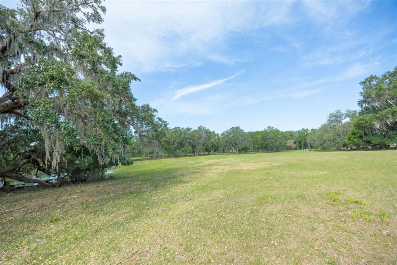 Tbd Cr 772b, Webster, FL 33597 Photo