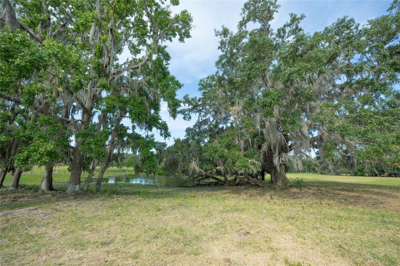 Tbd Cr 772b, Webster, FL 33597 Photo