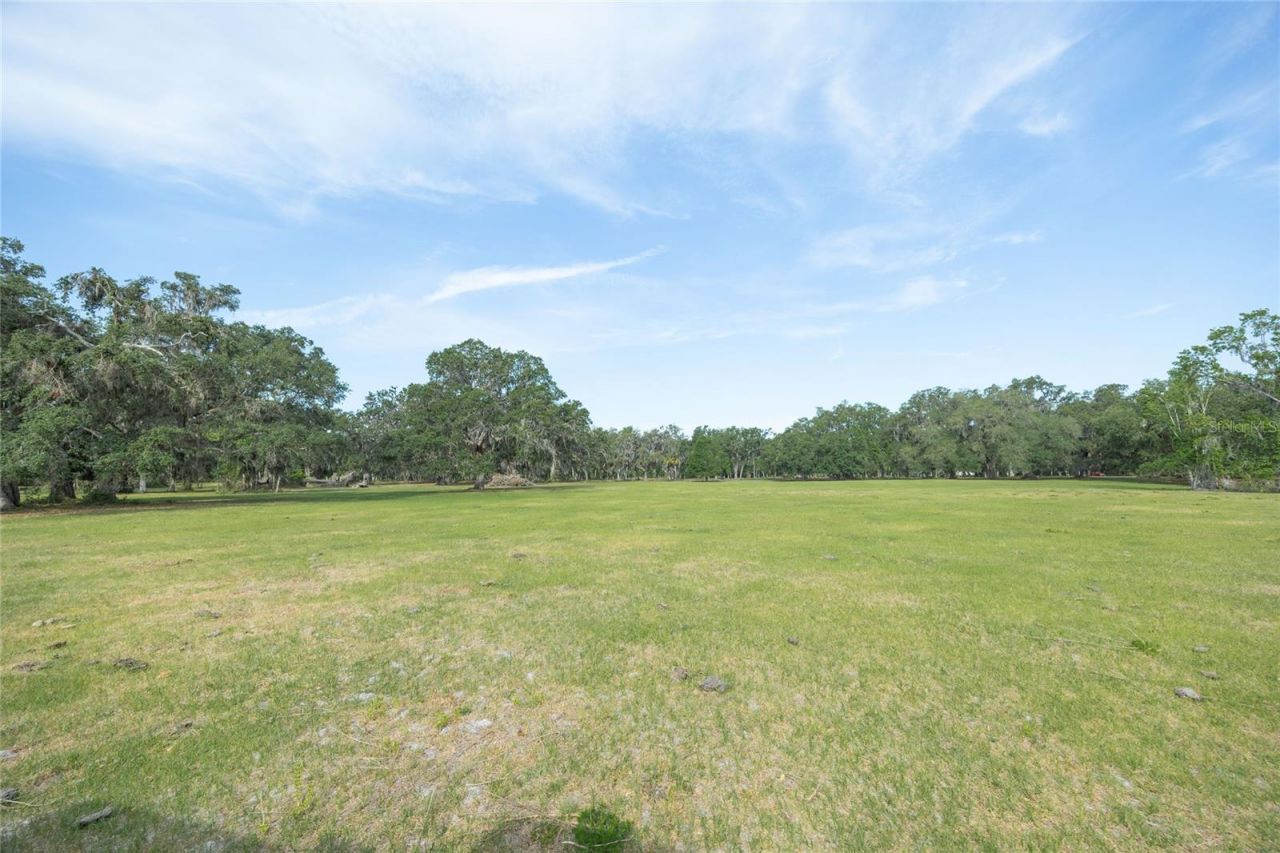 Tbd Cr 772b, Webster, FL 33597 Photo