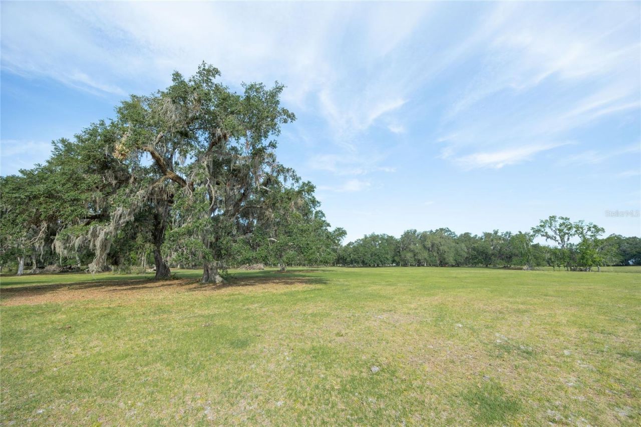 Tbd Cr 772b, Webster, FL 33597 Photo