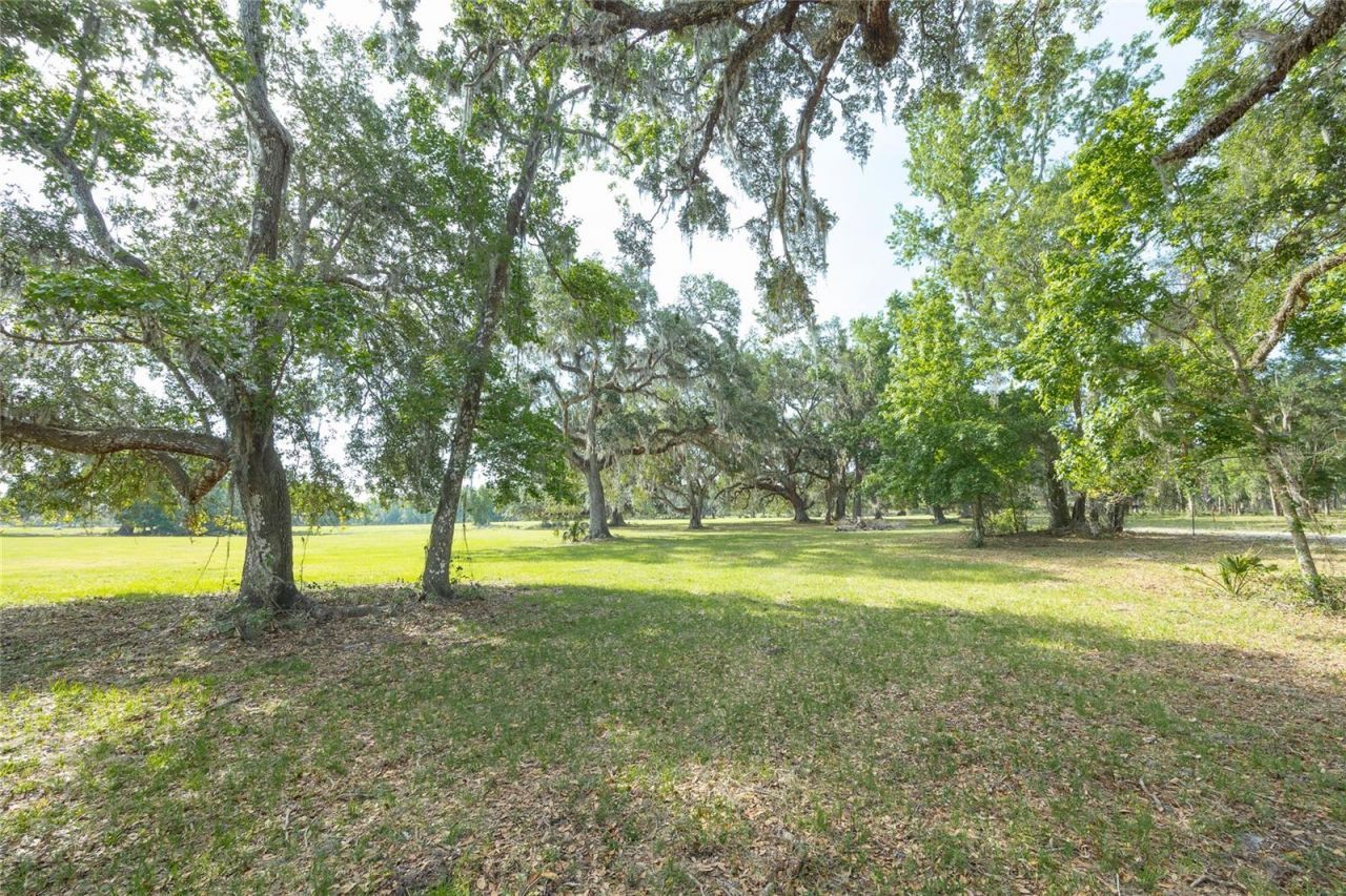 Tbd Cr 772b, Webster, FL 33597 Photo