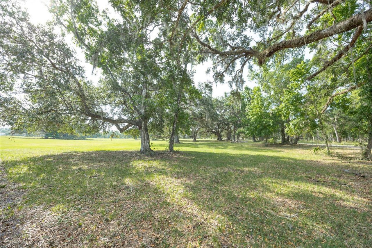 Tbd Cr 772b, Webster, FL 33597 Photo