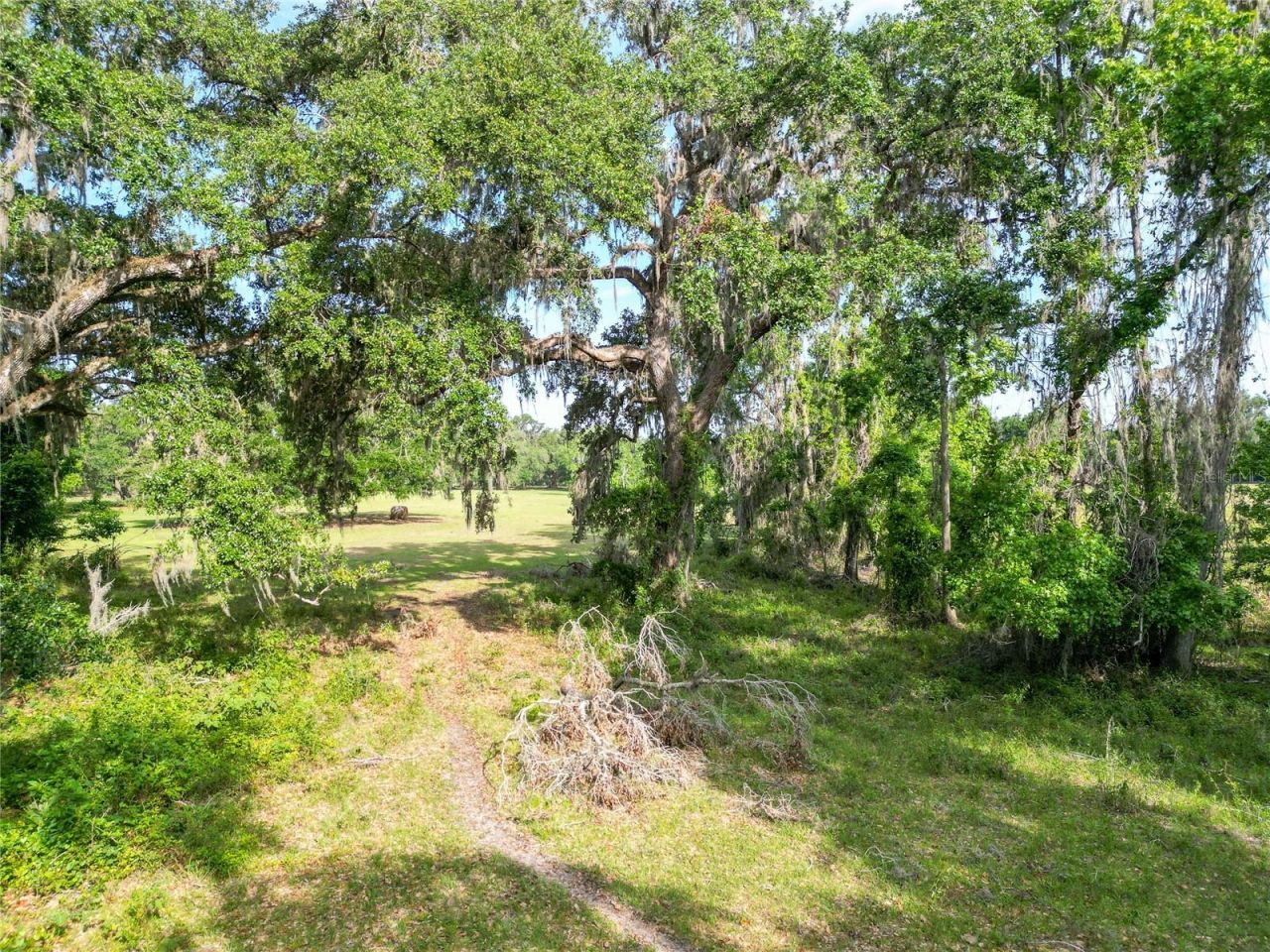 Tbd Cr 772b, Webster, FL 33597 Photo