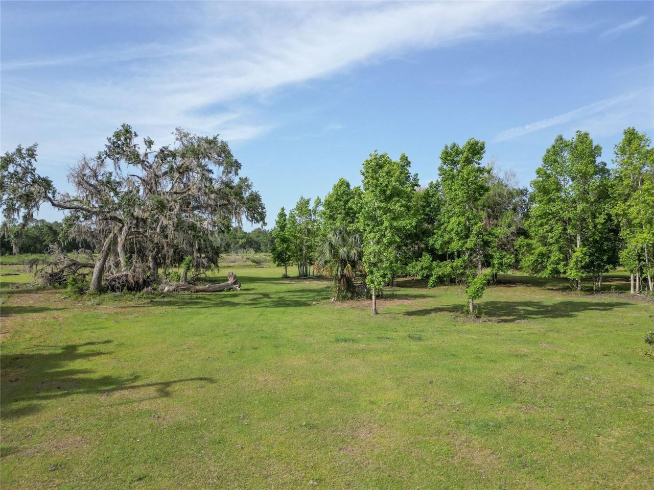 Tbd Cr 772b, Webster, FL 33597 Photo