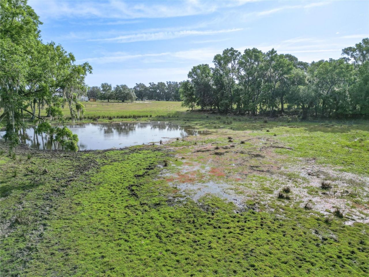 Tbd Cr 772b, Webster, FL 33597 Photo
