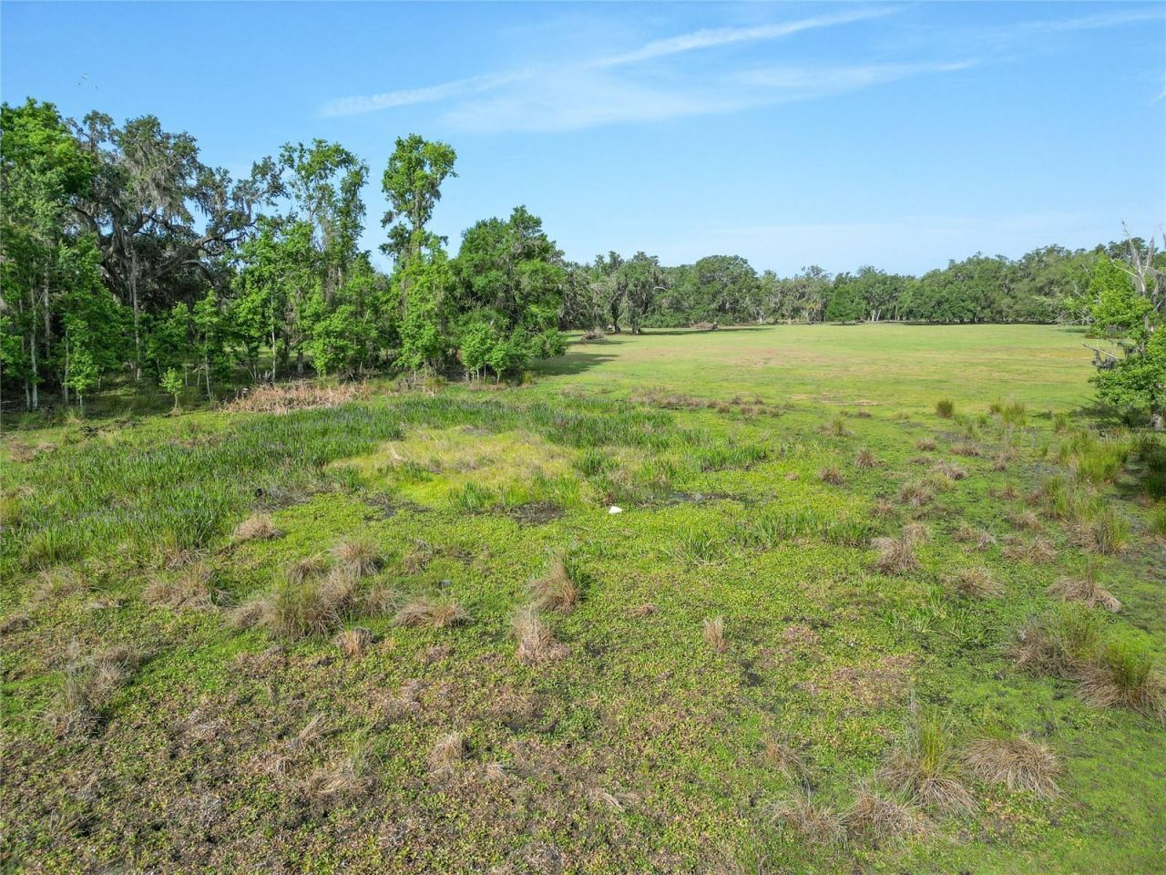 Tbd Cr 772b, Webster, FL 33597 Photo