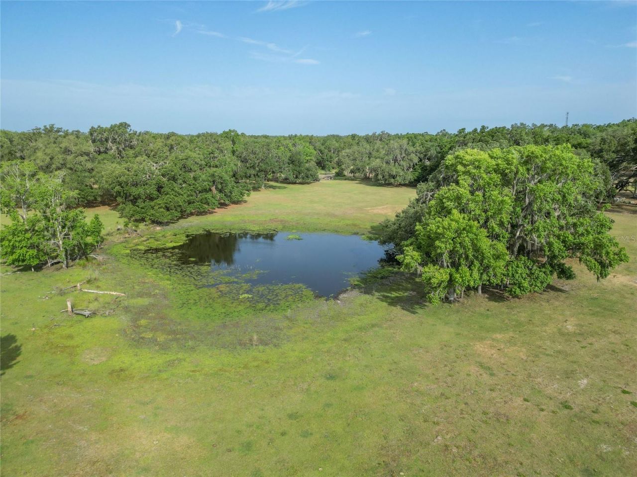 Tbd Cr 772b, Webster, FL 33597 Photo