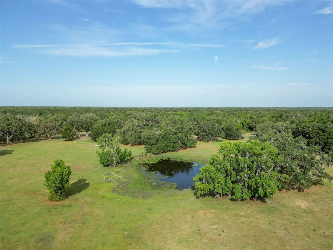 Tbd Cr 772b, Webster, FL 33597 Photo