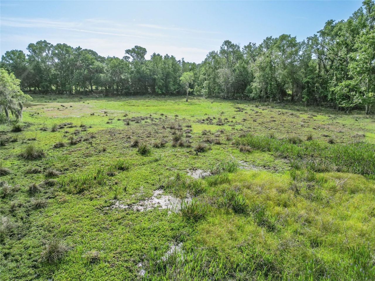 Tbd Cr 772b, Webster, FL 33597 Photo