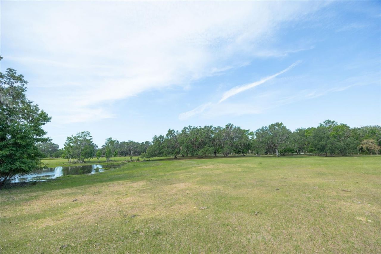 Tbd Cr 772b, Webster, FL 33597 Photo