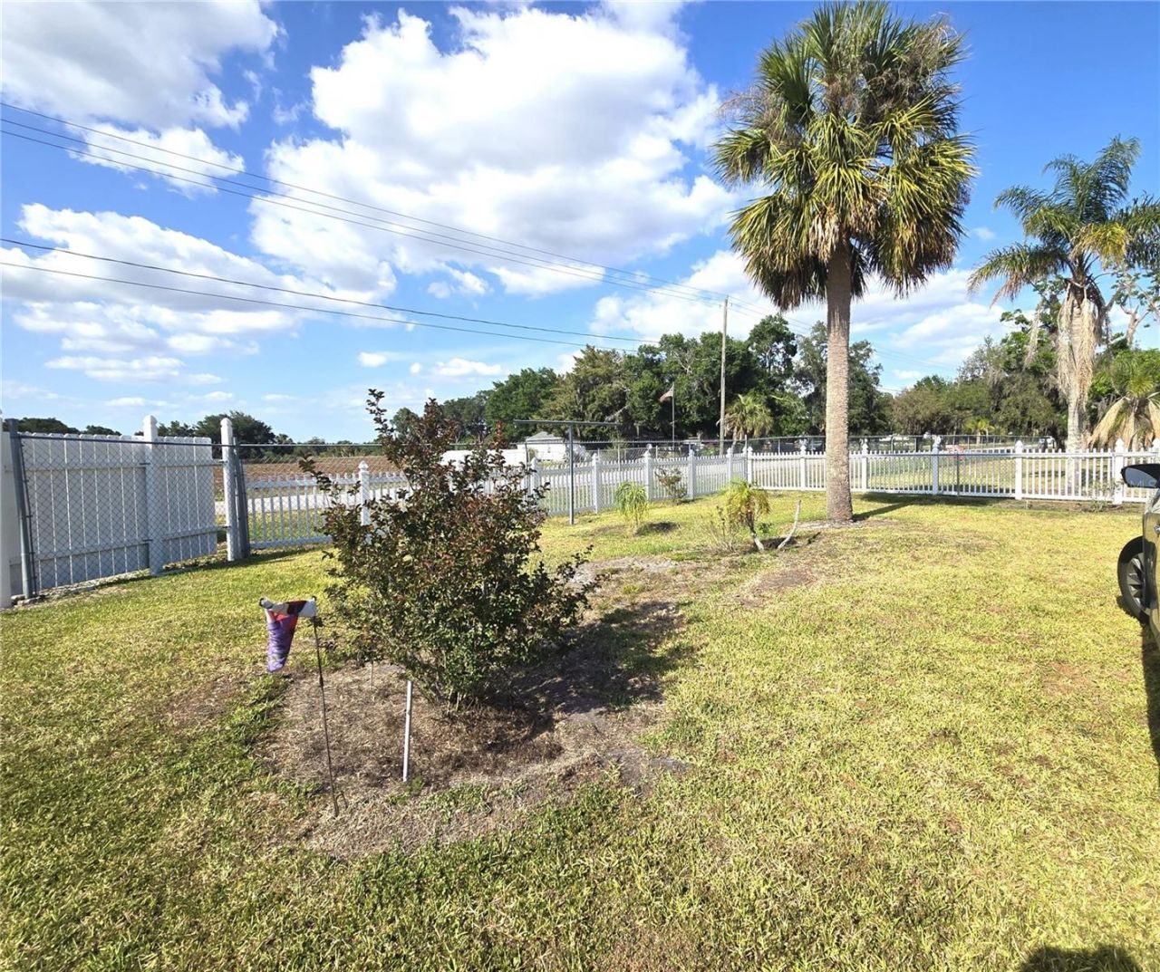 3101 Medulla Road, Plant City, FL 33566 Photo