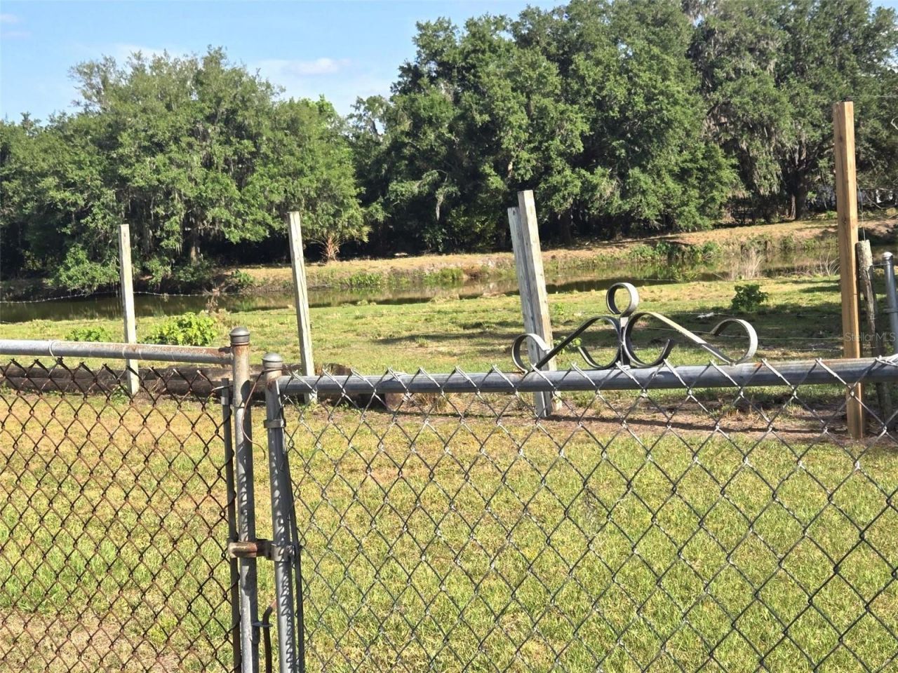 3101 Medulla Road, Plant City, FL 33566 Photo