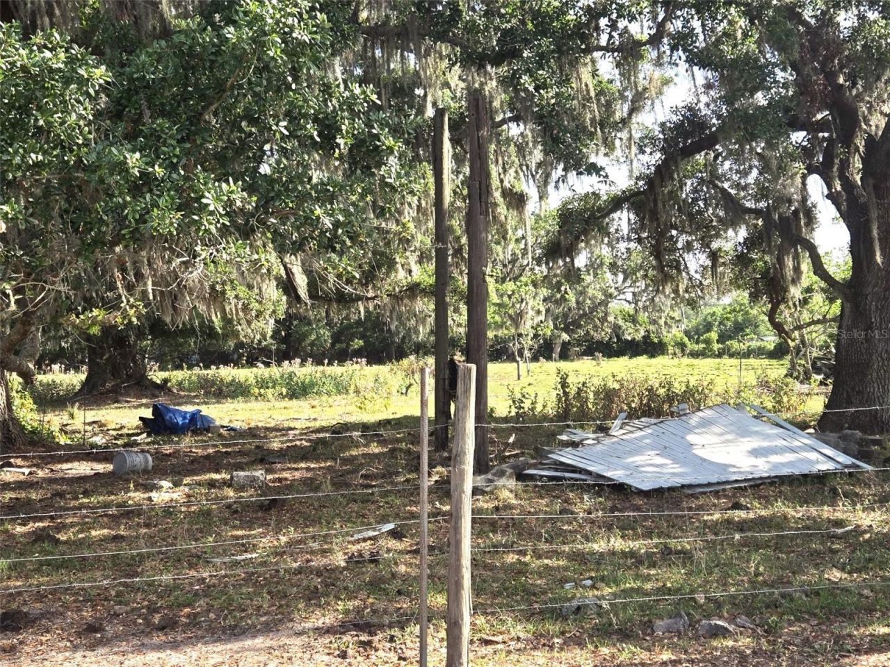 3101 Medulla Road, Plant City, FL 33566 Photo