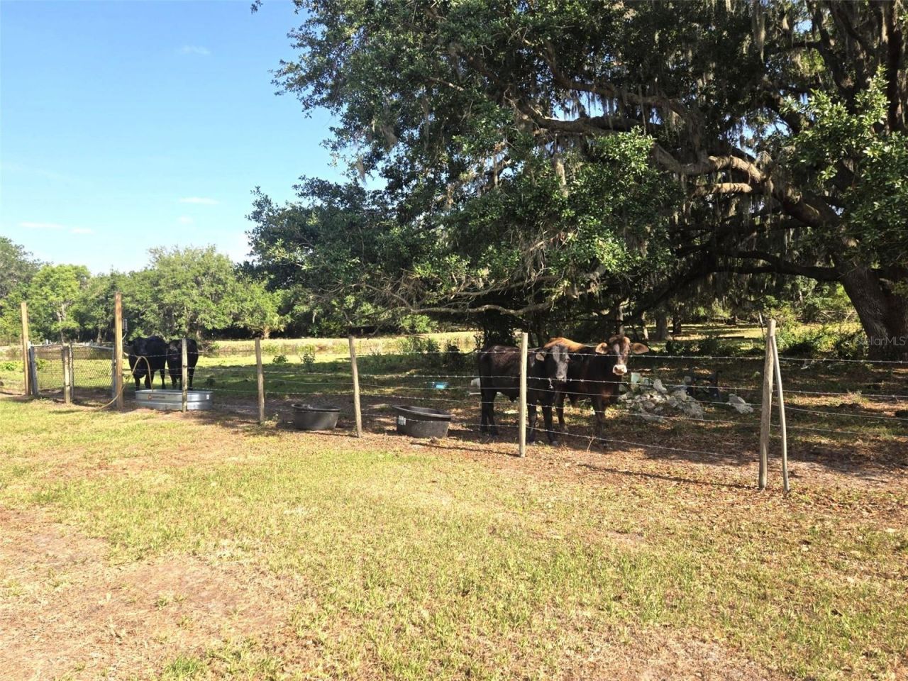 3101 Medulla Road, Plant City, FL 33566 Photo