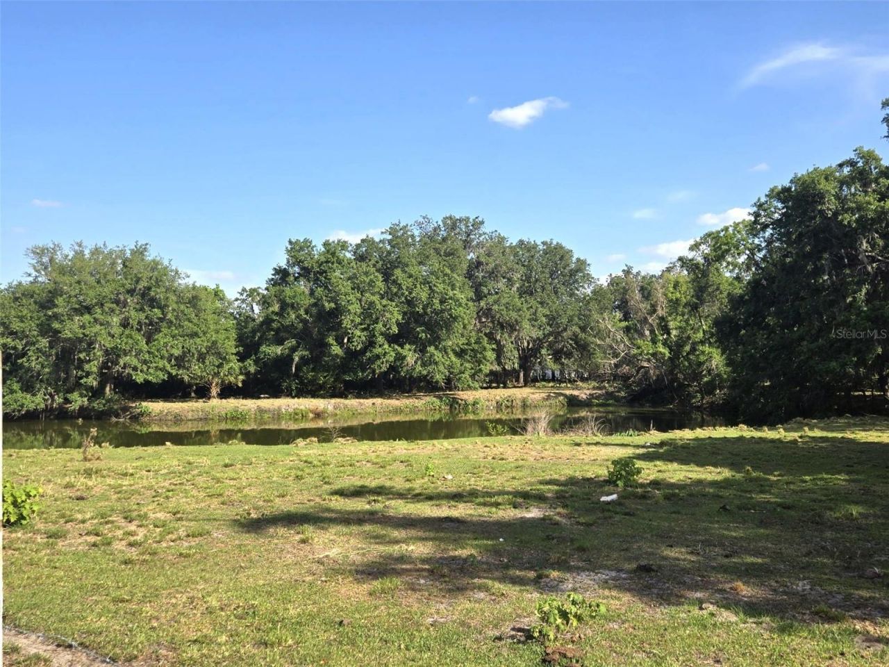 3101 Medulla Road, Plant City, FL 33566 Photo