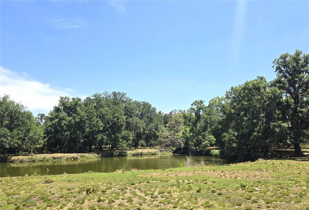3101 Medulla Road, Plant City, FL 33566 Photo
