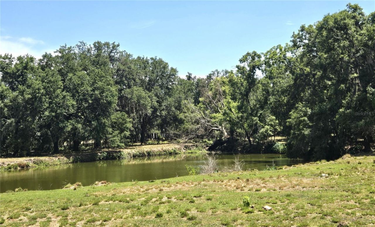 3101 Medulla Road, Plant City, FL 33566 Photo
