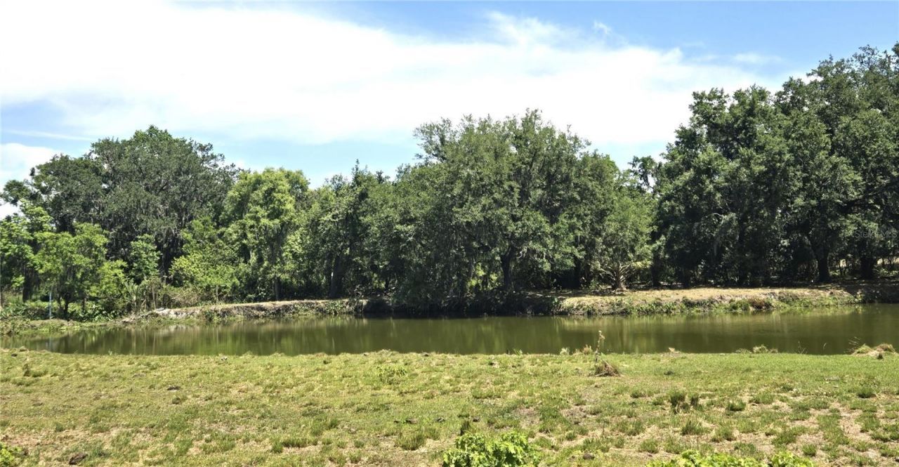 3101 Medulla Road, Plant City, FL 33566 Photo