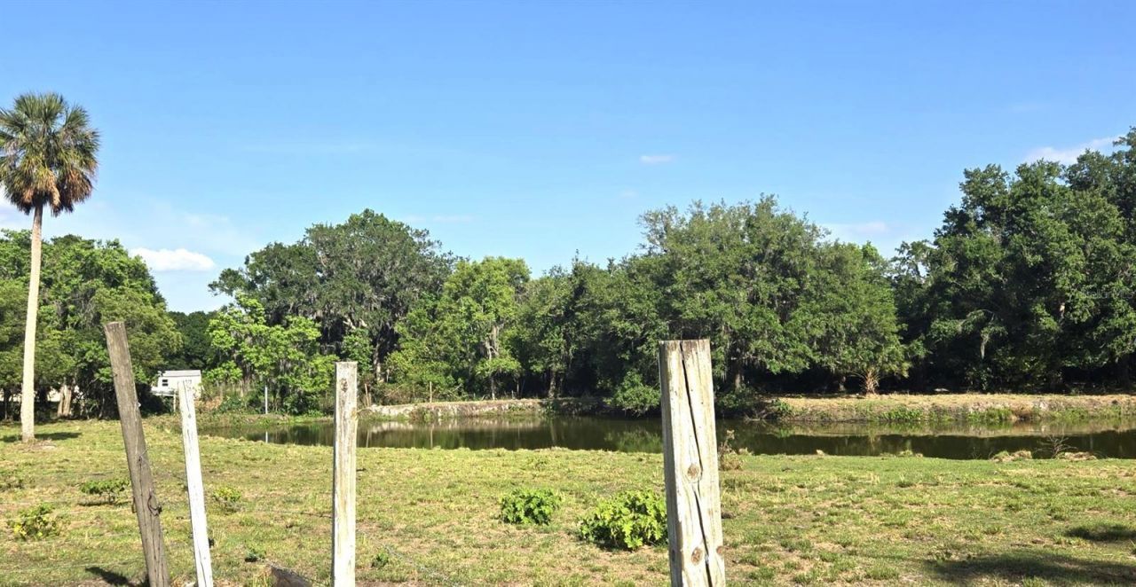 3101 Medulla Road, Plant City, FL 33566 Photo